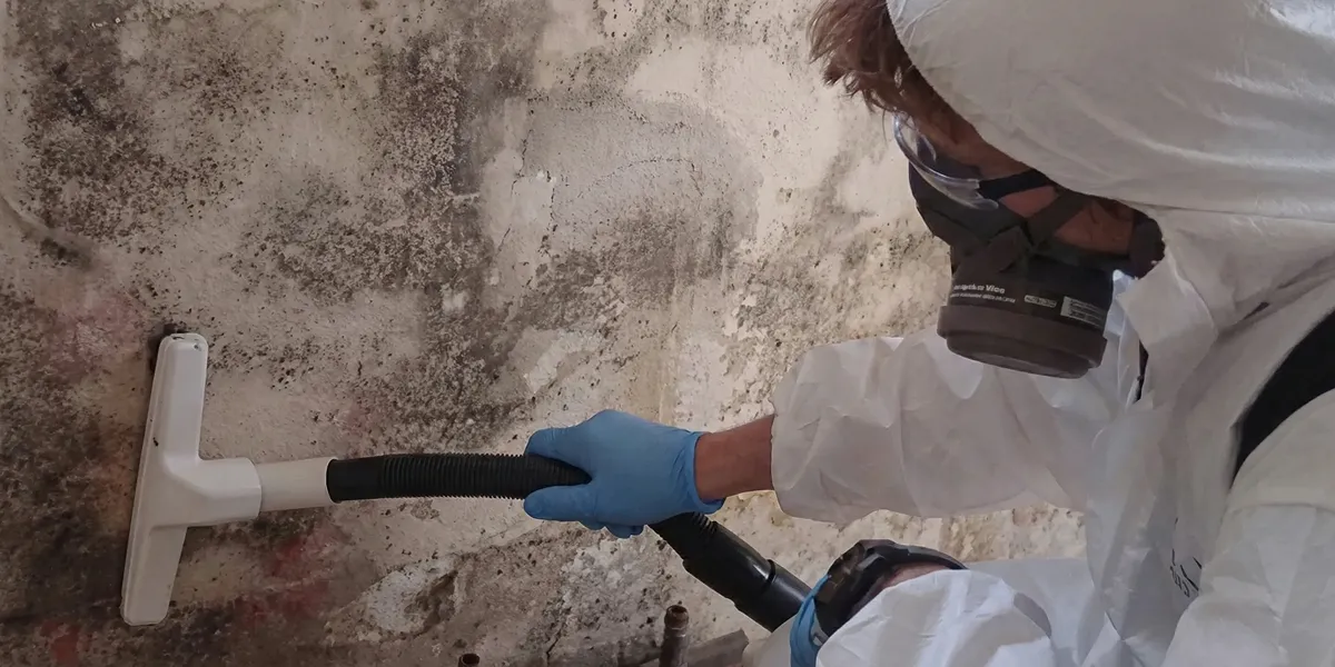 professional mold removal technician wearing protective equipment removing mold from a wall in Reno, NV
